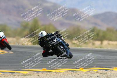 media/May-11-2024-SoCal Trackdays (Sat) [[cc414cfff5]]/9-Turn 14 (1125am)/